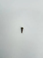 SCREW – SELF DRILL #10 X 3/4′ - Beige image